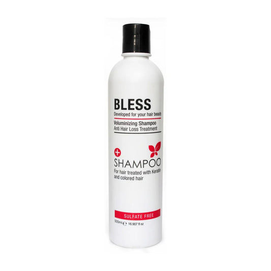 Bless shampoo for hair treated with keratin and colored hair 500 ml